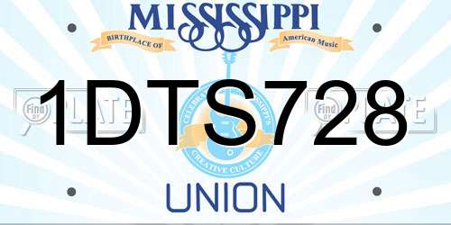 1DTS728 Mississippi License Plate