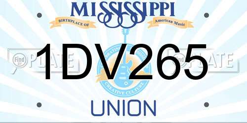 1DV265 Mississippi License Plate