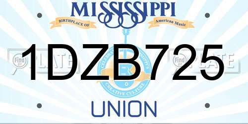 1DZB725 Mississippi License Plate