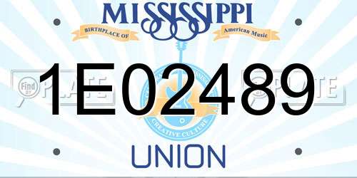 1E02489 Mississippi License Plate