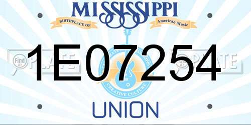1E07254 Mississippi License Plate