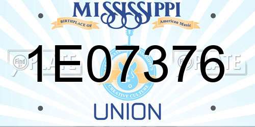 1E07376 Mississippi License Plate