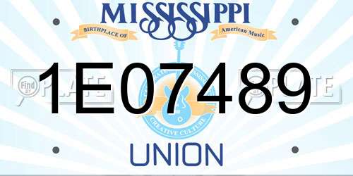 1E07489 Mississippi License Plate