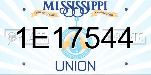 1E17544 Mississippi License Plate