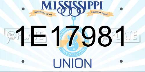 1E17981 Mississippi License Plate