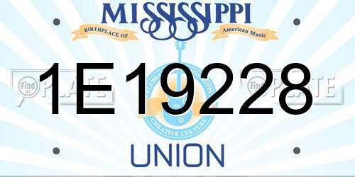 1E19228 Mississippi License Plate