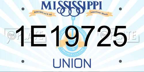 1E19725 Mississippi License Plate