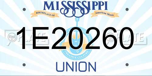 1E20260 Mississippi License Plate