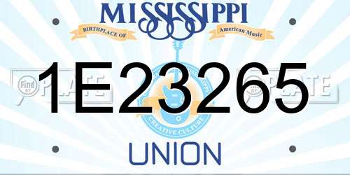 1E23265 Mississippi License Plate