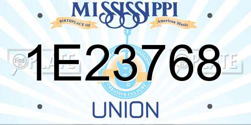 1E23768 Mississippi License Plate