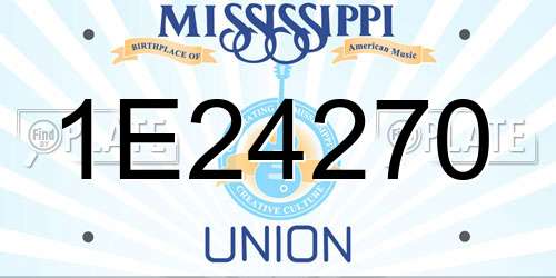 1E24270 Mississippi License Plate