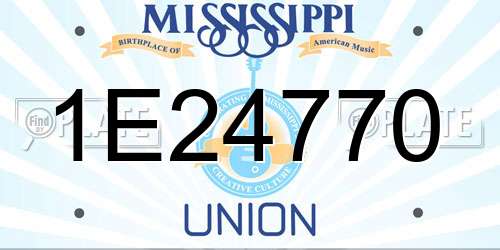 1E24770 Mississippi License Plate
