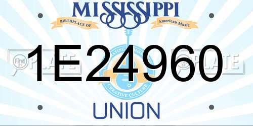 1E24960 Mississippi License Plate