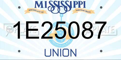 1E25087 Mississippi License Plate