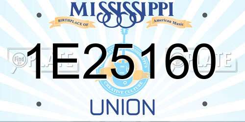 1E25160 Mississippi License Plate