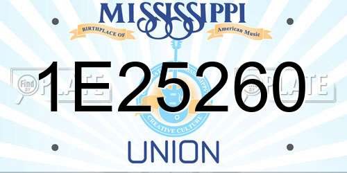 1E25260 Mississippi License Plate