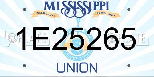 1E25265 Mississippi License Plate