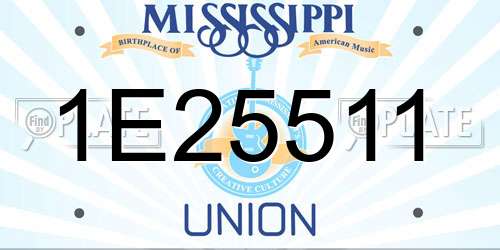 1E25511 Mississippi License Plate