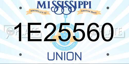 1E25560 Mississippi License Plate
