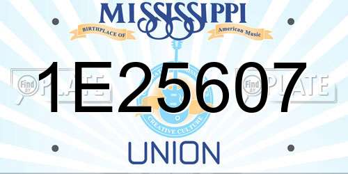 1E25607 Mississippi License Plate