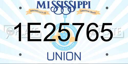 1E25765 Mississippi License Plate