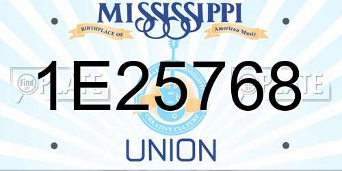1E25768 Mississippi License Plate