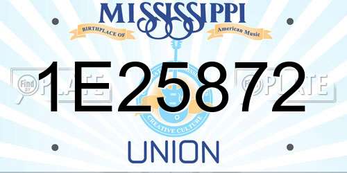 1E25872 Mississippi License Plate