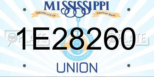 1E28260 Mississippi License Plate