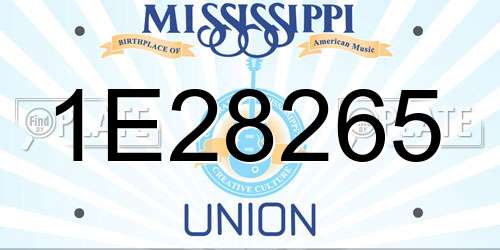 1E28265 Mississippi License Plate