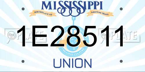 1E28511 Mississippi License Plate