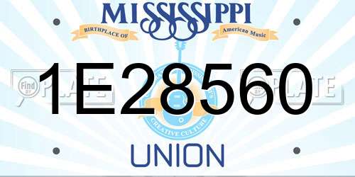 1E28560 Mississippi License Plate