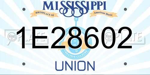 1E28602 Mississippi License Plate