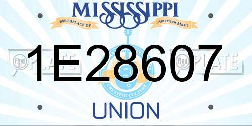 1E28607 Mississippi License Plate