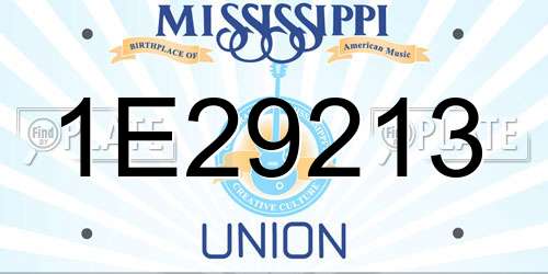 1E29213 Mississippi License Plate