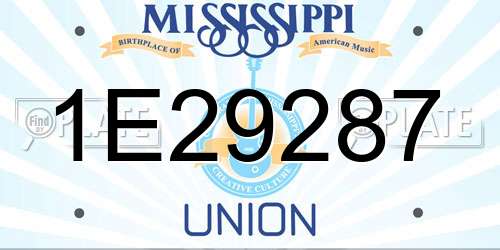 1E29287 Mississippi License Plate