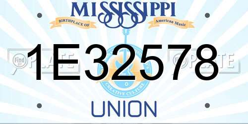 1E32578 Mississippi License Plate