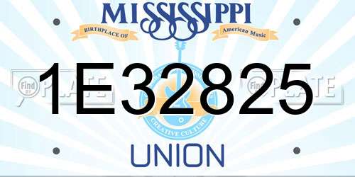 1E32825 Mississippi License Plate