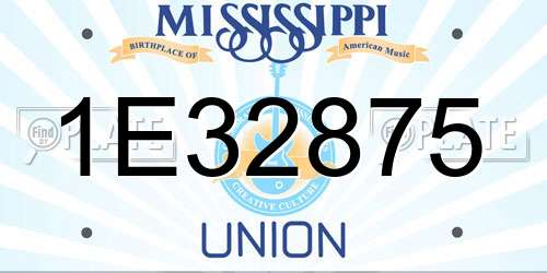 1E32875 Mississippi License Plate