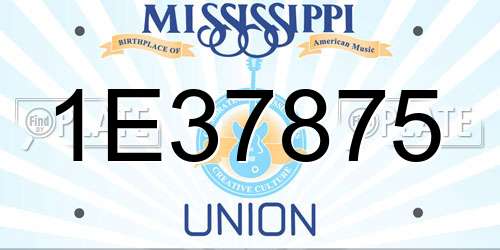 1E37875 Mississippi License Plate