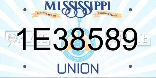 1E38589 Mississippi License Plate