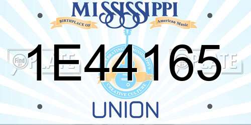 1E44165 Mississippi License Plate