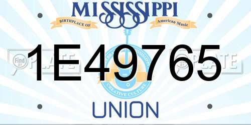 1E49765 Mississippi License Plate