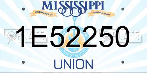 1E52250 Mississippi License Plate