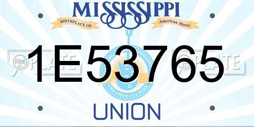 1E53765 Mississippi License Plate