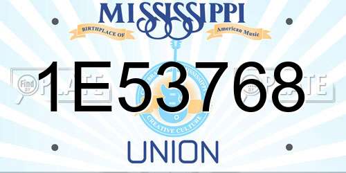1E53768 Mississippi License Plate