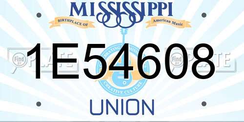 1E54608 Mississippi License Plate