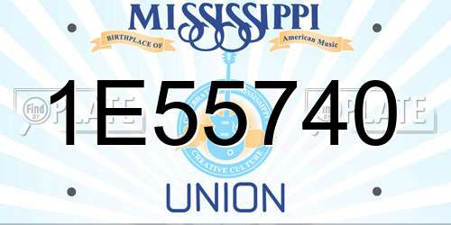 1E55740 Mississippi License Plate