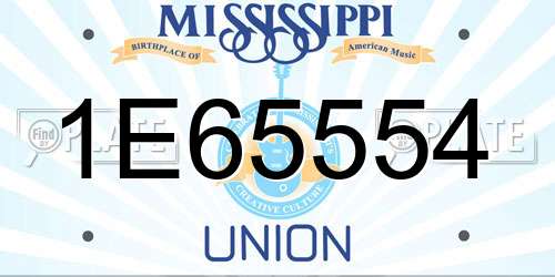 1E65554 Mississippi License Plate