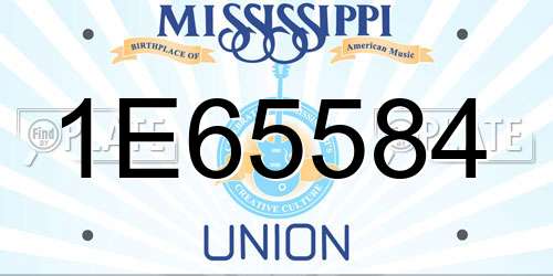 1E65584 Mississippi License Plate