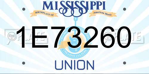 1E73260 Mississippi License Plate